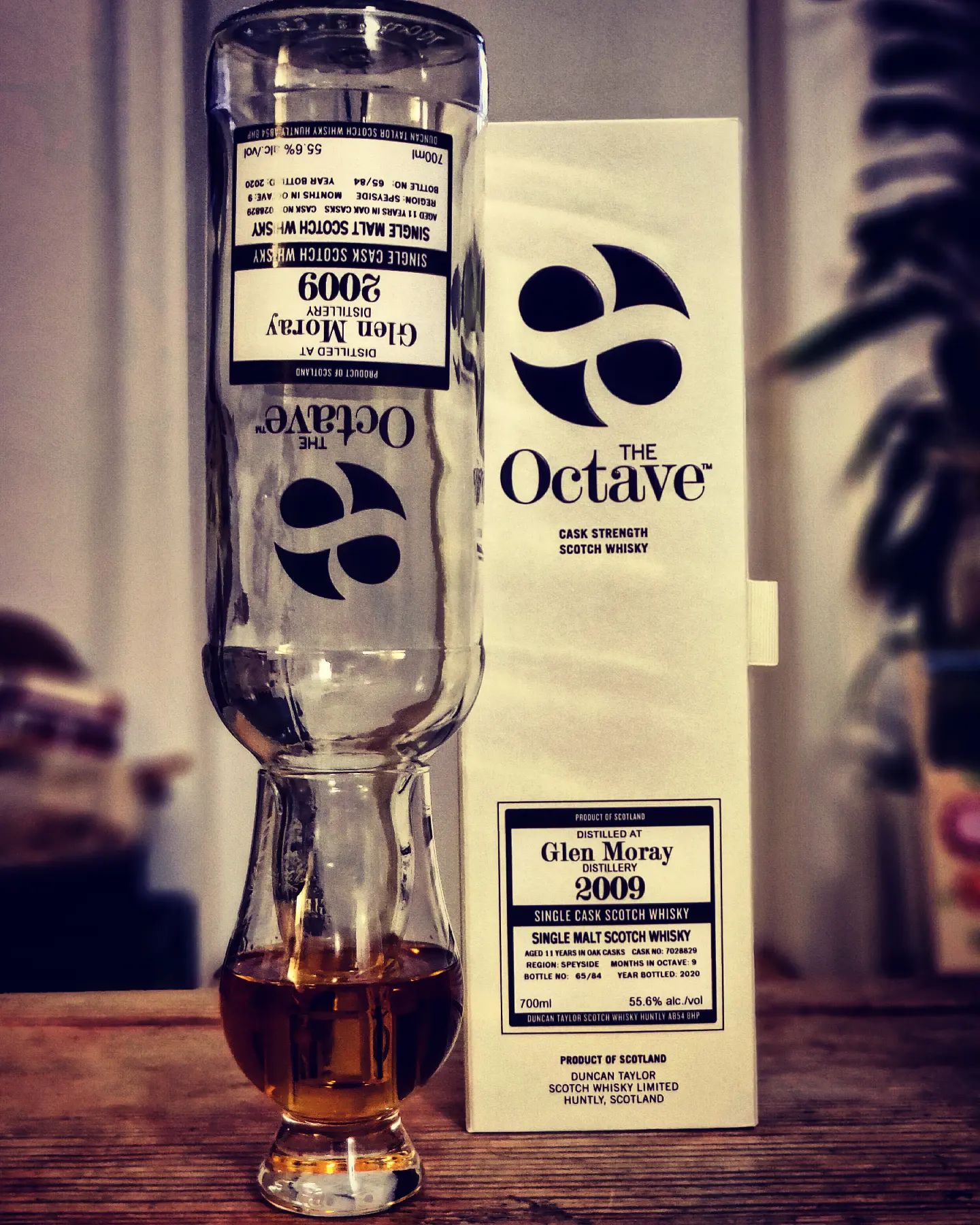 TASTING NOTES ! GLEN MORAY DUNCAN TAYLOR OCTAVE

[unpaid ad]

Hi folks, any Glen Moray fans present? I have yet another #bottlekill to present,
and it's a whisky I will definitely miss sipping...

@glen_moray_whisky @duncantaylorscotchwhisky Octave 2009 11yo (cask no. 7028829; bottle 65/84; 55.6% ABV)

👃
Dry wood and sherry, somehow oldschool, rich and sweet, dried prunes, raisins, walnuts and roasted cocoa beans.

👅
Rich and fruity, dry with tannins, a superb sweetness with wood and red berries, dried figs and raisins.

🏁
Dark toffee, dry and creamy with rich fruitiness, sherry sweetness and tannins, dried figs, raisins and  malty starch.

Frankly, such a wonderful oldschool taste, perfectly bound in alcohol and lovely dry tannins - a hugely rich and rewarding dram to sip. If you can get your hands on a bottle, I recommend you take two!

How do you think about Octaves - short and intense sherry finishes? Let me know in the comments and meanwhile, enjoy your dramming! 🥃

#scotch #singlemalt #whiskytasting #whiskyporn #whiskygram #whiskey #duncantaylor #octave #sherry #glenmoray #lostanddramed #hofinbayernganzoben #mcwulf #picoftheday #oldschool #tannins #whiskymania #whiskylover #whiskyexperience #whiskylife #whiskylove #whiskybar #speyside #speysidewhisky #morayspeyside #singlecask #limited #instadram #instawhisky